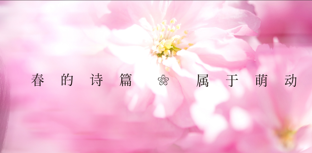 2020全球星粉节：五星艺星，让世界更美！