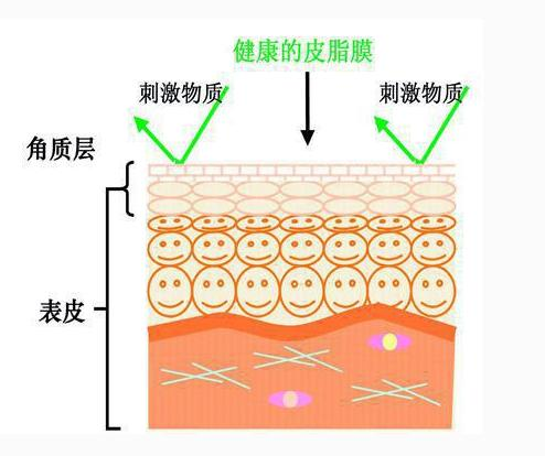 秋季如何修复屏障？馨漫之舍十肽靓颜修护精华液在这里