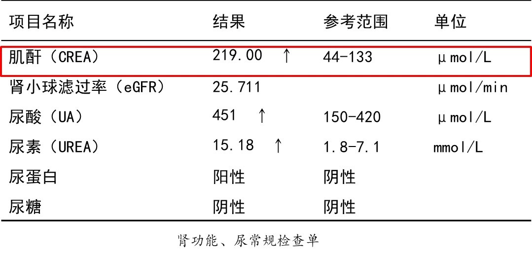 1744190975479772.jpg